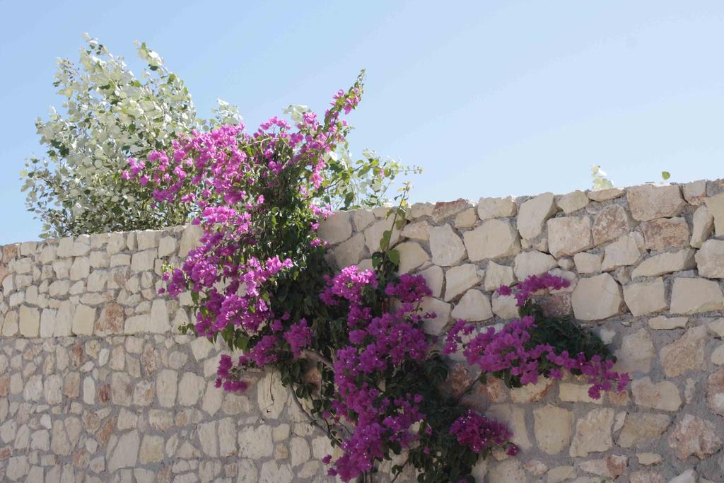 マラティ Crete Viewヴィラ 部屋 写真